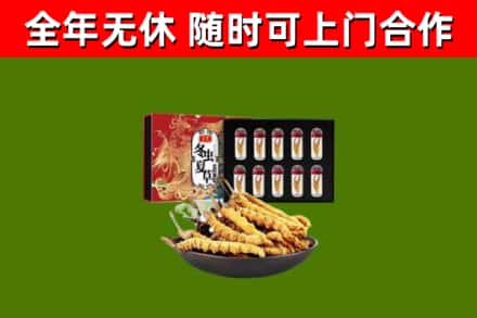 望牛墩镇回收冬虫夏草价格