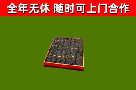 望牛墩镇回收海参